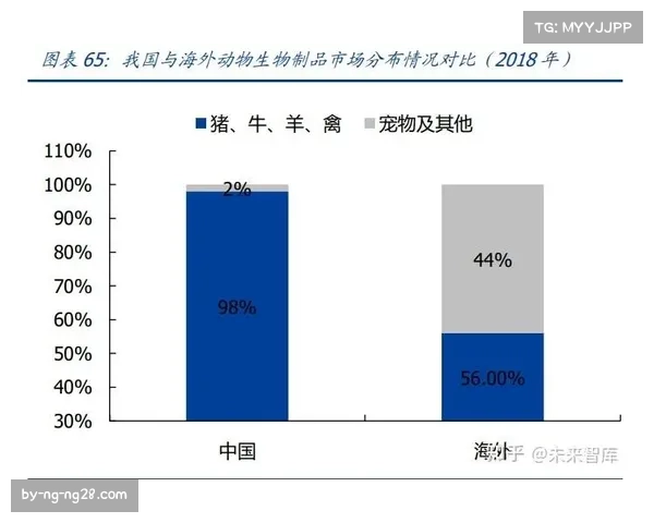 球员评价标准改变 功能适配取代全能优先趋势明显